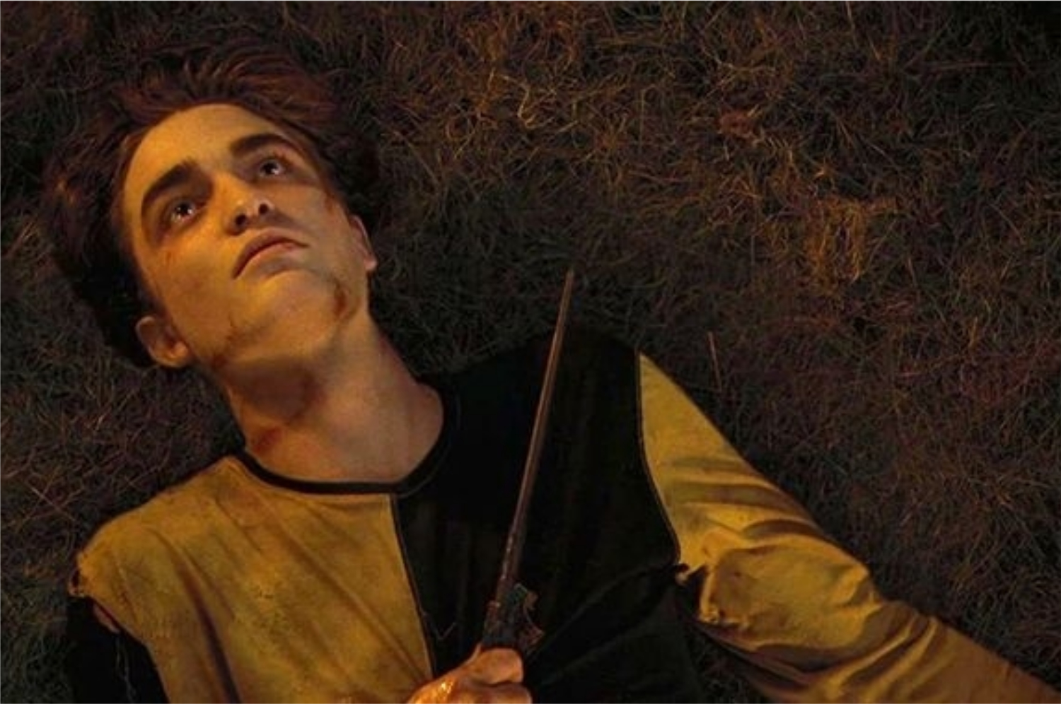 Confira aqui 7 curiosidades sobre Cedric Diggory (Imagem: Reprodução/Warner Bros.)