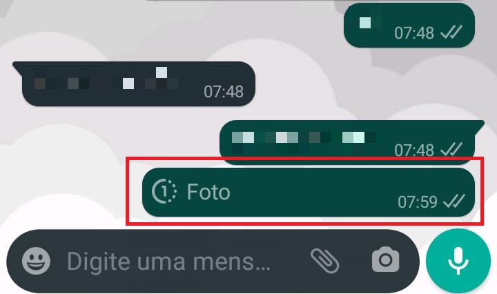 Como enviar fotos e vídeos no WhatsApp que desaparecem (Captura: Alexandre Garcia Peres/Tech News Brasil)