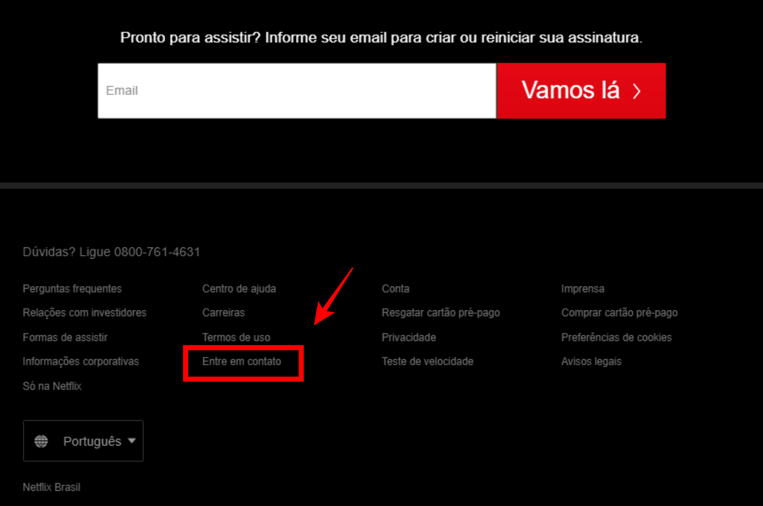 Entre em contato para cancelar conta Netflix